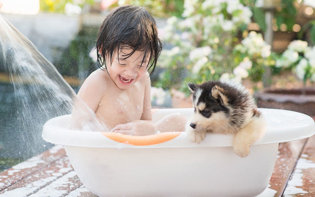 Wash Your Dog, Help A Child