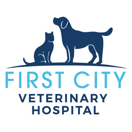 First City Veterinary Hospital